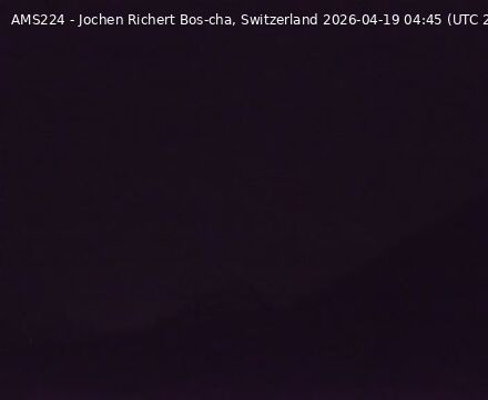 Scuol › Nordwesten: Bos-cha