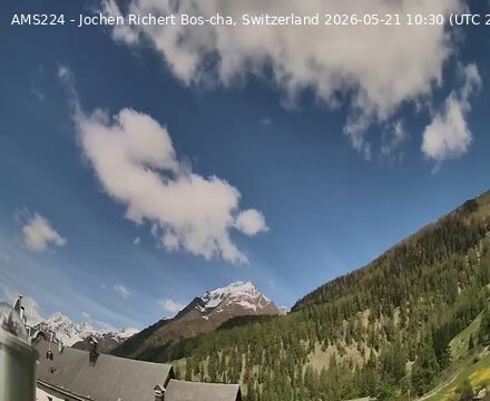 Scuol › Nordwesten: Bos-cha