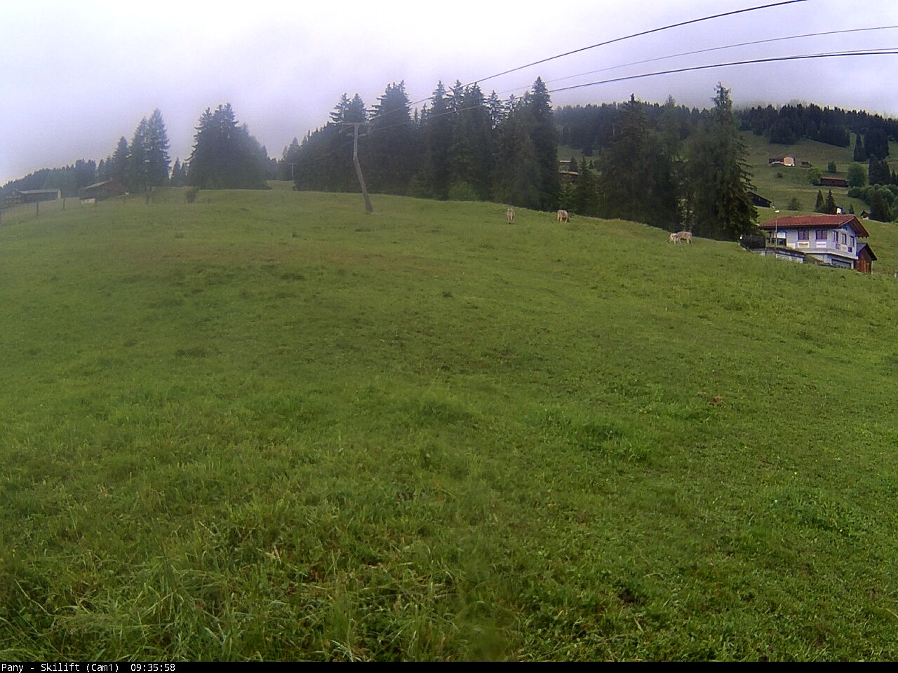 Pany › Nordwesten: Graubünden, Schweiz