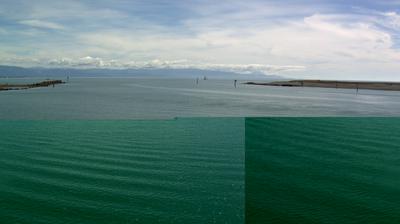 Nelson today