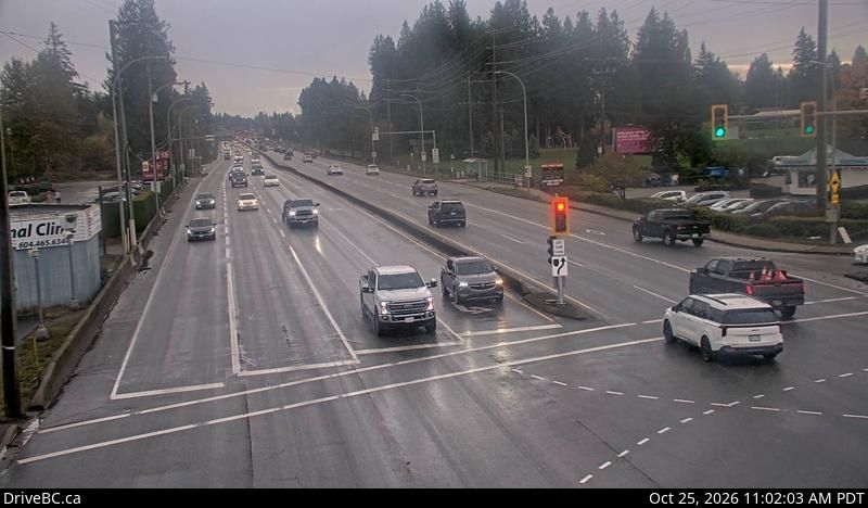 Pitt Meadows webcam