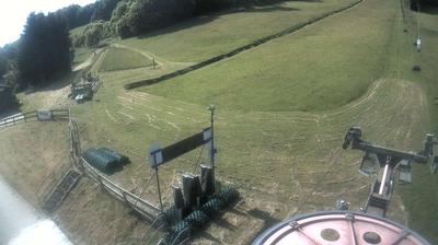 Neustadt In Sachsen forest webcam