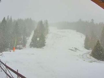 Schonwald im Schwarzwald › South-West: Skilift Rohrhardsberg