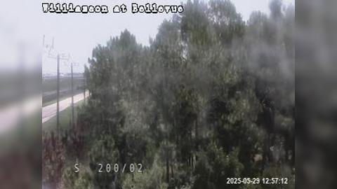 Traffic Cam Daytona Beach: A_WILLIAMSON_@_BELLEVUE