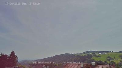 Hellmonsodt forest webcam