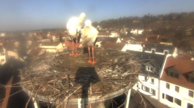 Erlangen Daglicht Webcam Image Erlangen Daglicht Webcam Image