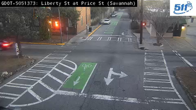 Webcam en vivo Savannah - ahora mismo