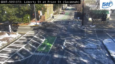 Imagen de webcam diurna Savannah