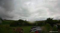 Reutti: Die Webcam zeigt das Wetter in - Day time