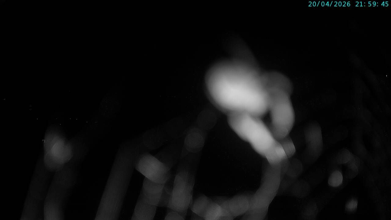 Miralago: Lago di Poschiavo - Piz Varuna