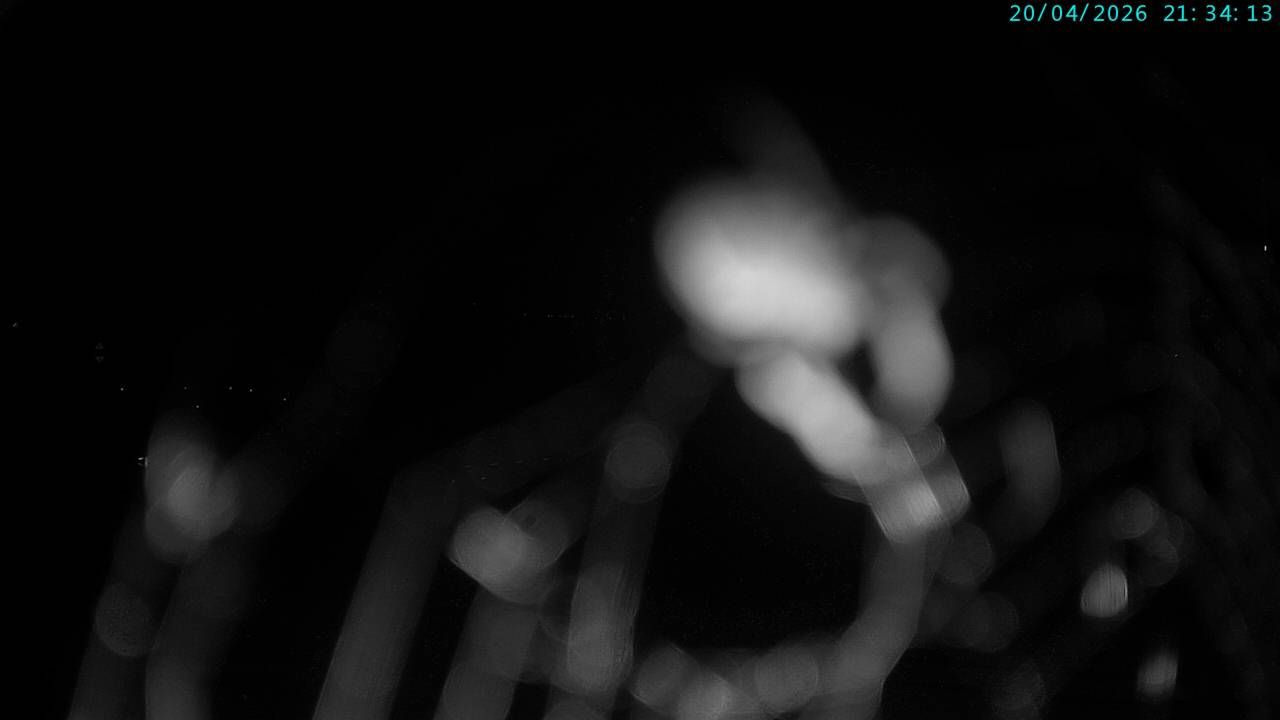 Miralago: Lago di Poschiavo - Piz Varuna