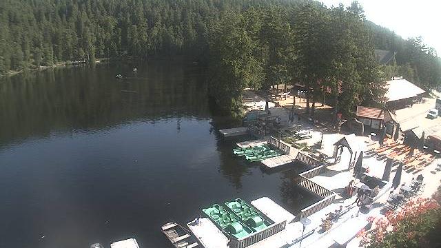 Hinterseebach forest Webcam
