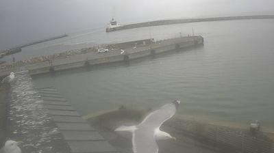 Hirtshals today