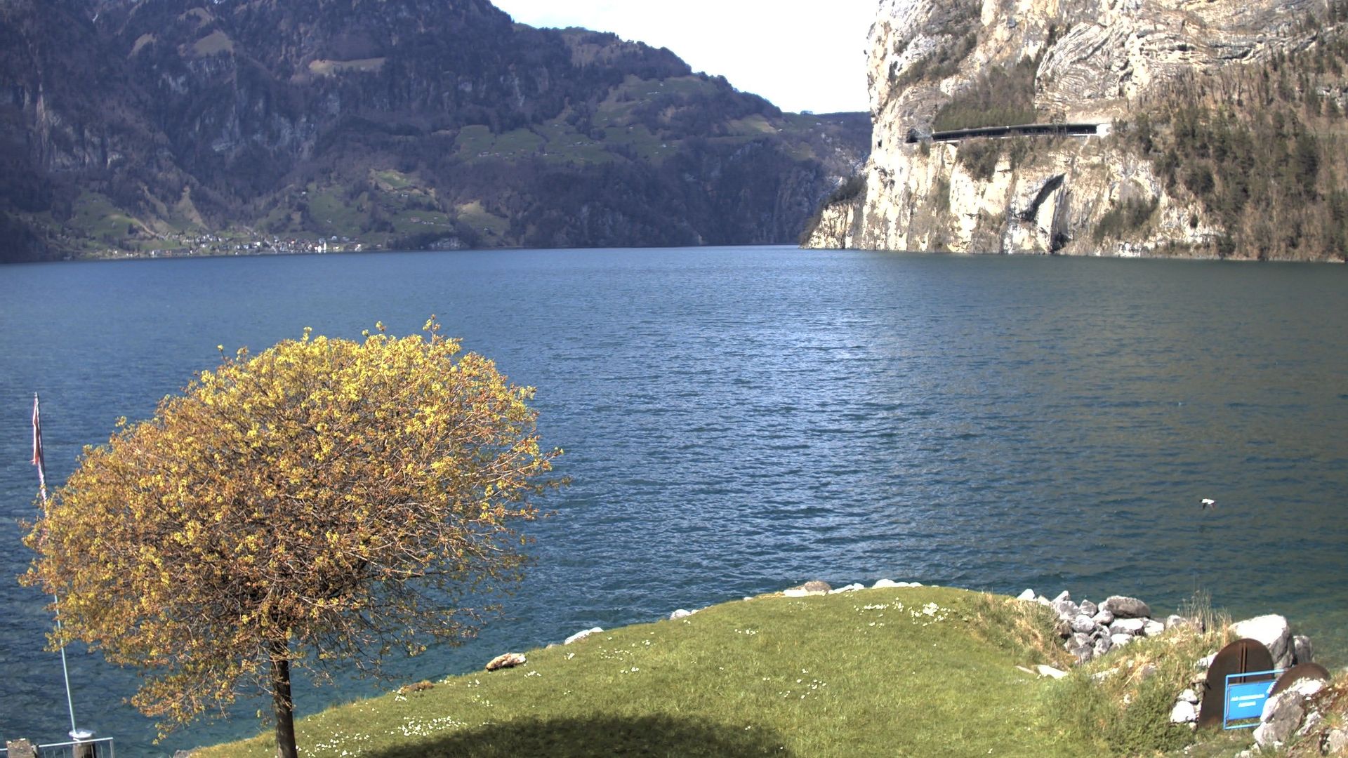 Traffic Cam Fluelen: Urnersee