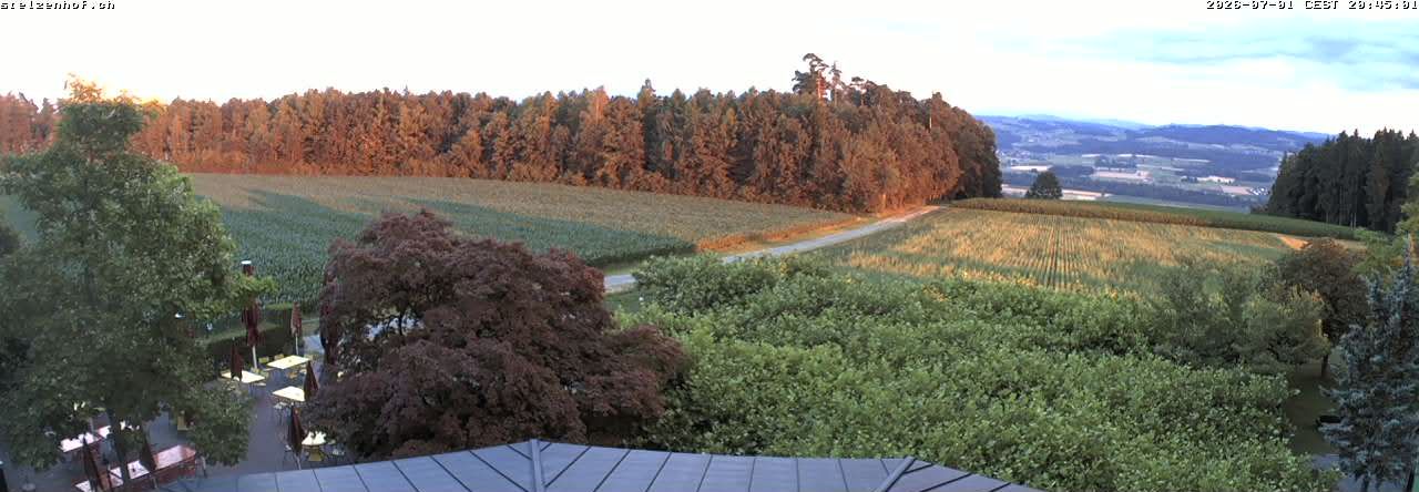 Weinfelden › Süden: Stelzenhof