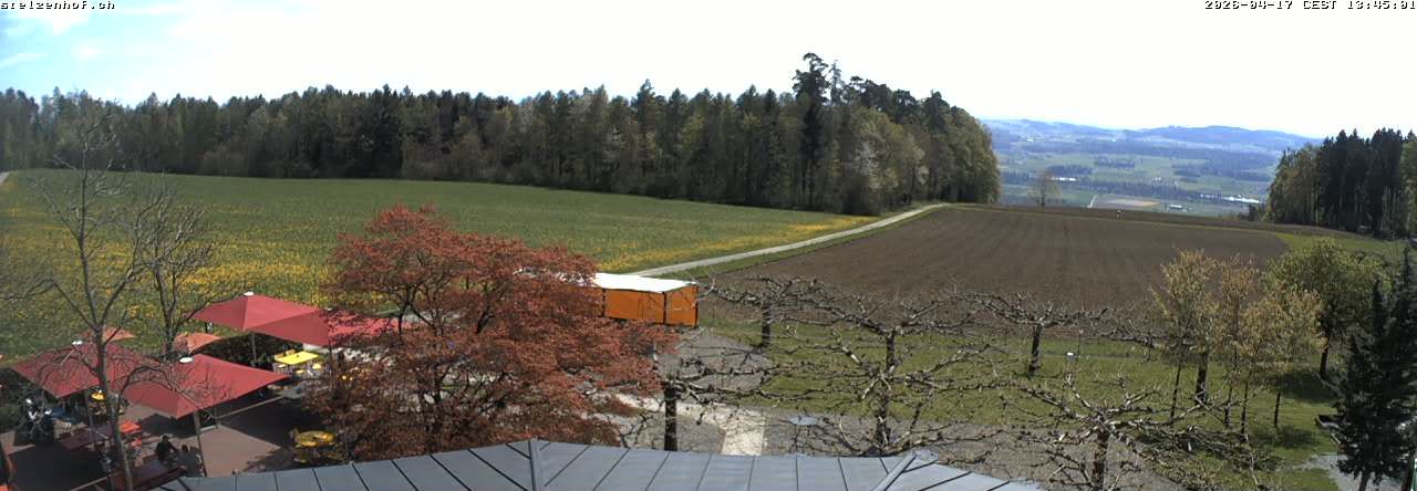 Weinfelden: Stelzenhof