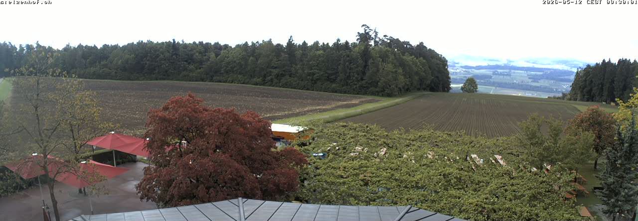Weinfelden: Stelzenhof