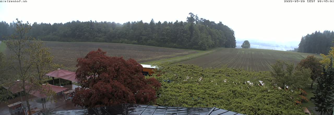 Weinfelden › Süden: Stelzenhof