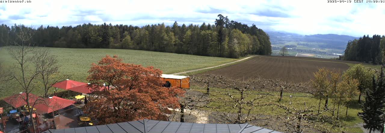 Weinfelden: Stelzenhof