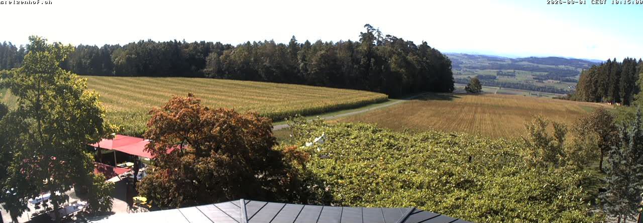 Weinfelden › Süden: Stelzenhof