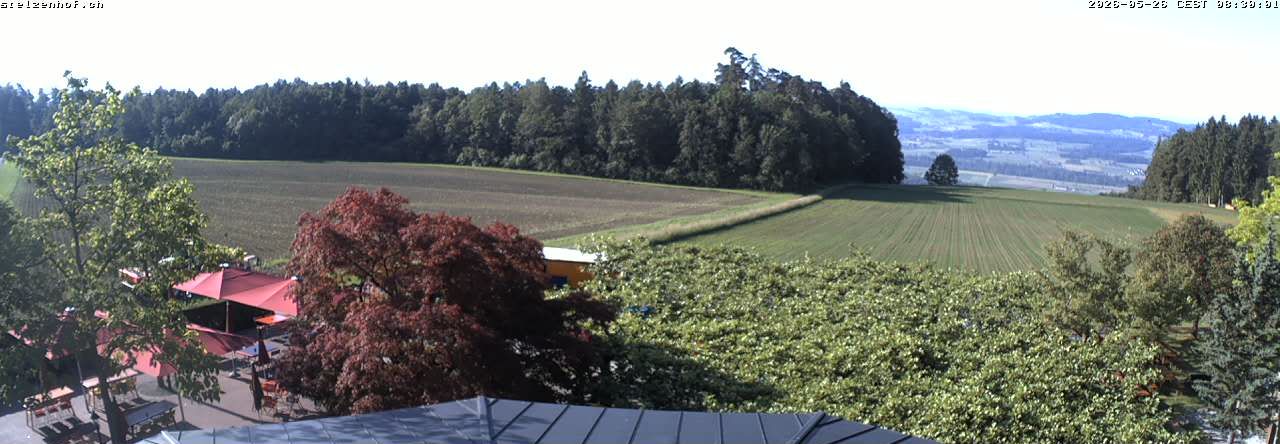 Weinfelden › Süden: Stelzenhof