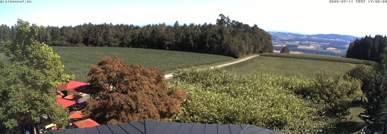 Weinfelden › Süden: Stelzenhof