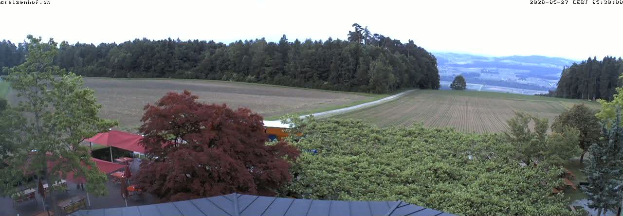 Weinfelden › Süden: Stelzenhof