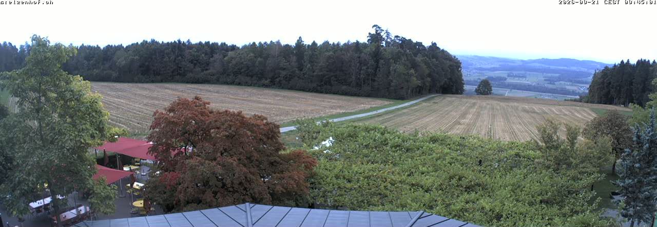 Weinfelden › Süden: Stelzenhof