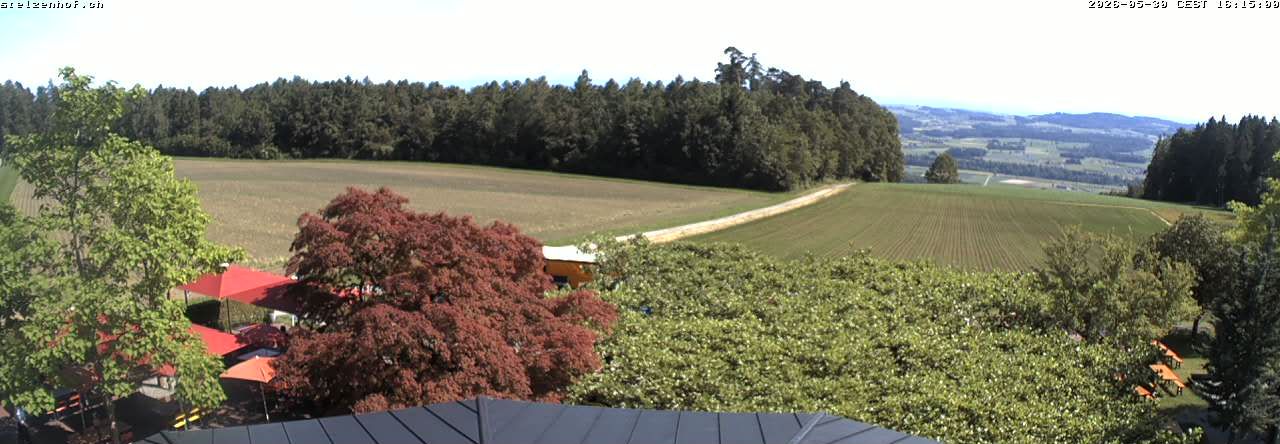 Weinfelden › Süden: Stelzenhof