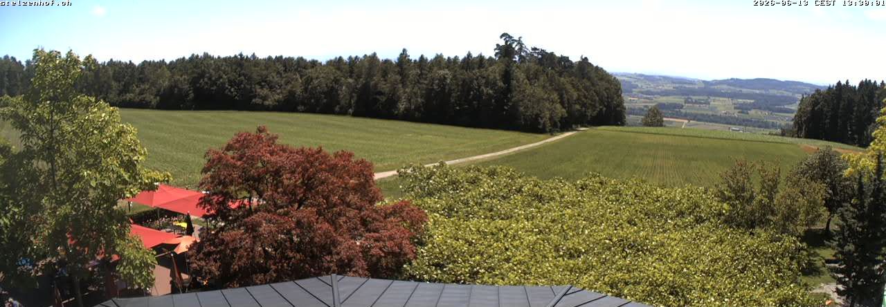 Weinfelden › Süden: Stelzenhof