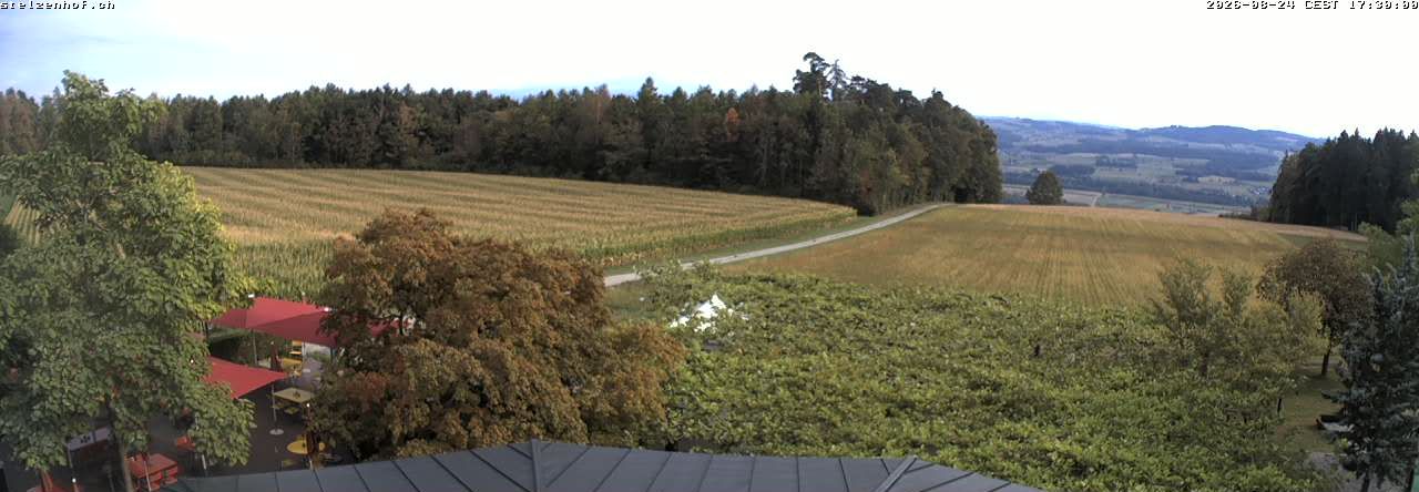 Weinfelden › Süden: Stelzenhof