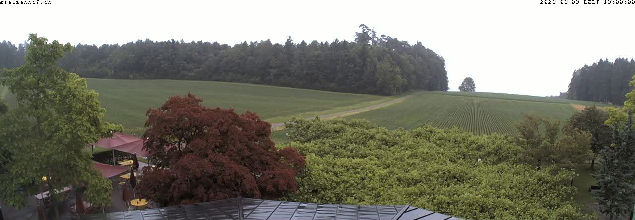 Weinfelden › Süden: Stelzenhof