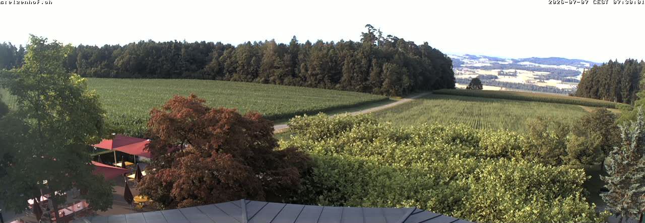 Weinfelden › Süden: Stelzenhof