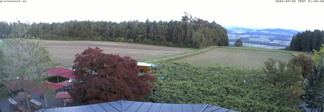 Weinfelden › Süden: Stelzenhof