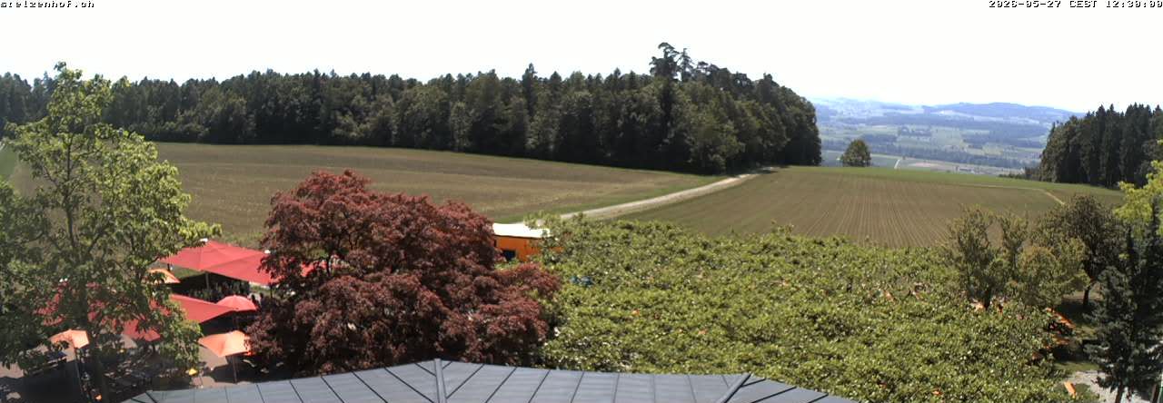 Weinfelden › Süden: Stelzenhof
