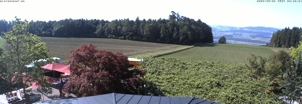 Weinfelden › Süden: Stelzenhof