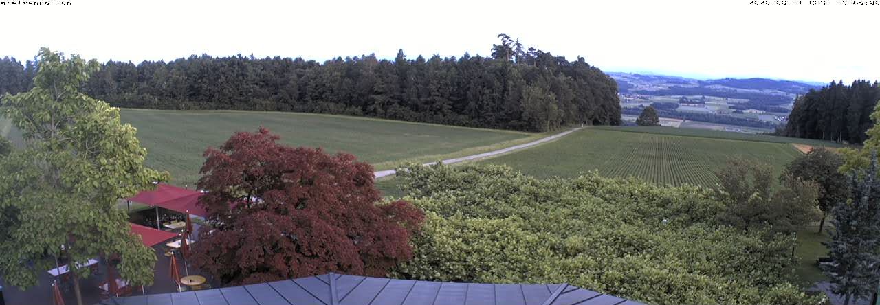 Weinfelden › Süden: Stelzenhof