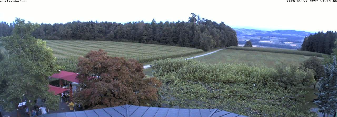 Weinfelden › Süden: Stelzenhof