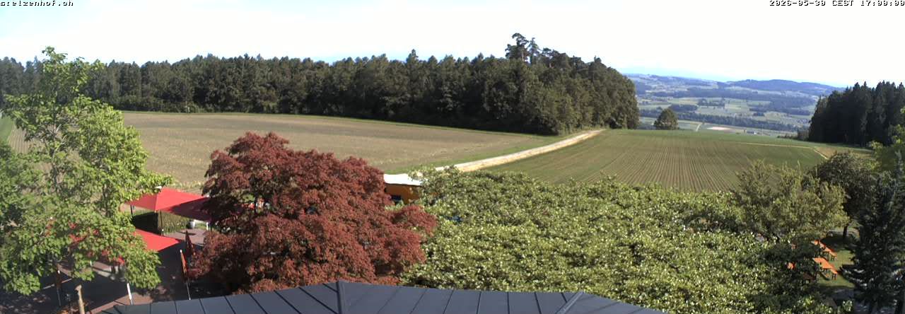 Weinfelden › Süden: Stelzenhof