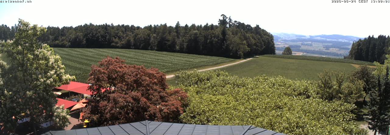 Weinfelden › Süden: Stelzenhof
