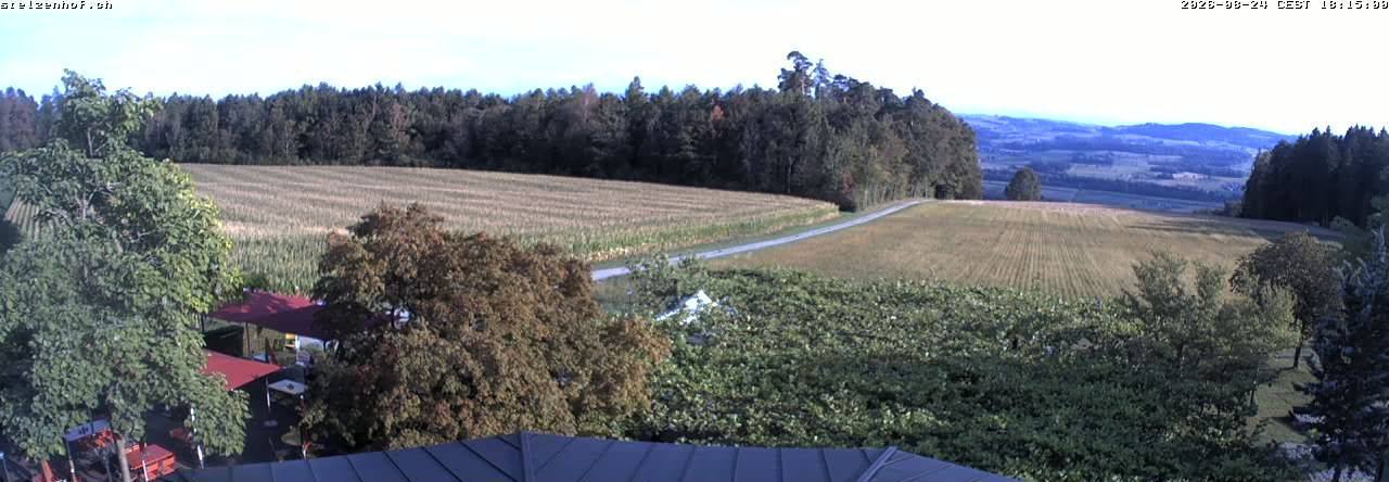 Weinfelden › Süden: Stelzenhof