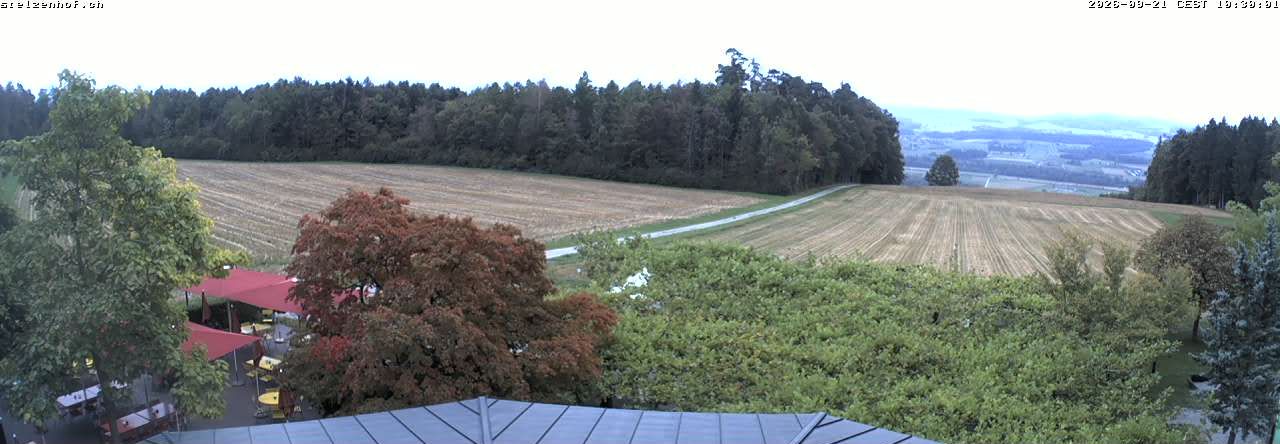 Weinfelden › Süden: Stelzenhof