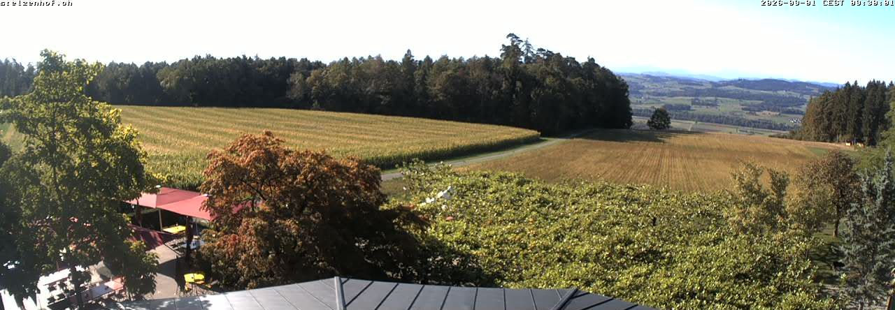 Weinfelden › Süden: Stelzenhof