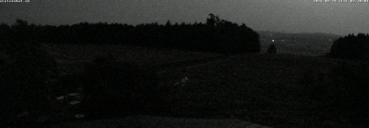 Weinfelden › Süden: Stelzenhof