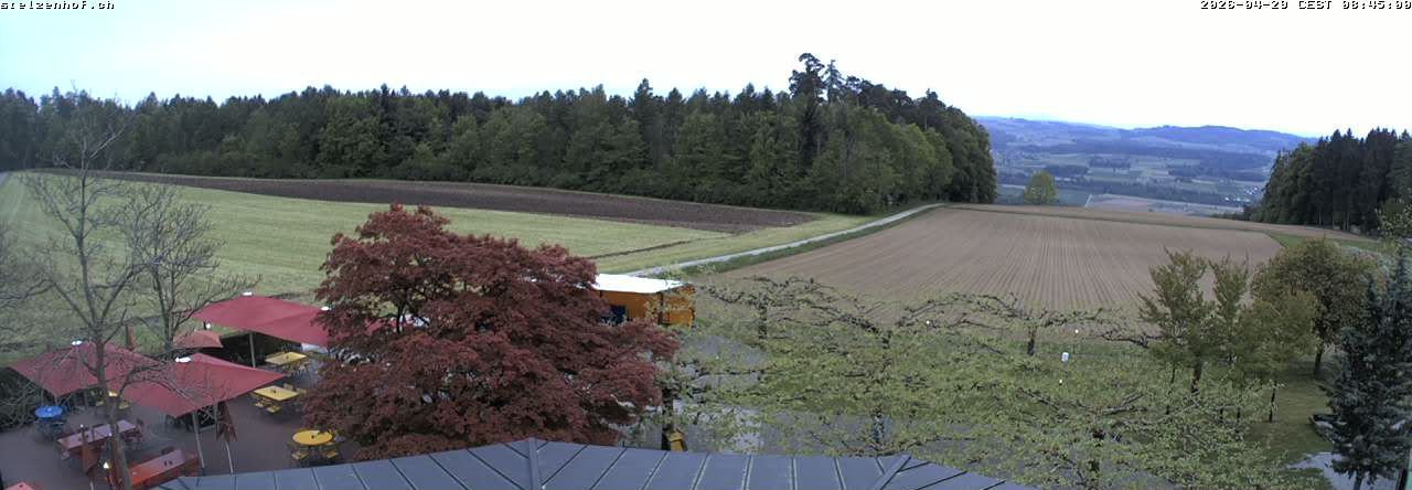 Weinfelden: Stelzenhof