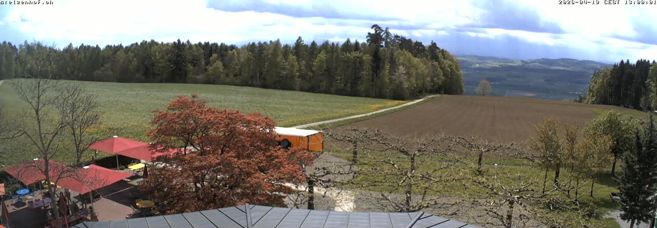 Weinfelden: Stelzenhof