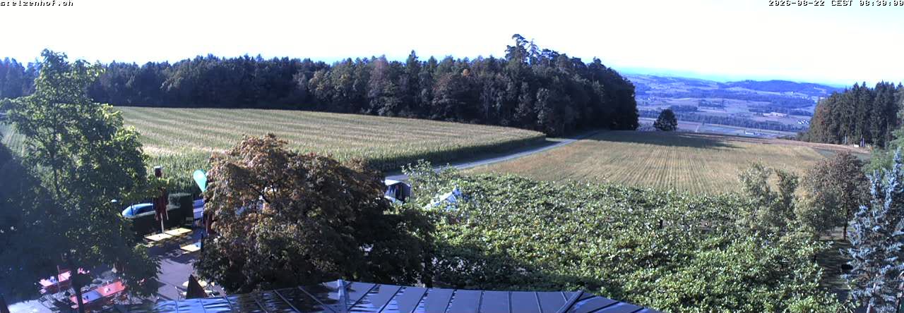 Weinfelden › Süden: Stelzenhof