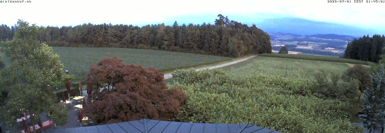 Weinfelden › Süden: Stelzenhof