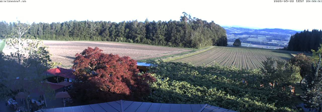 Weinfelden › Süden: Stelzenhof