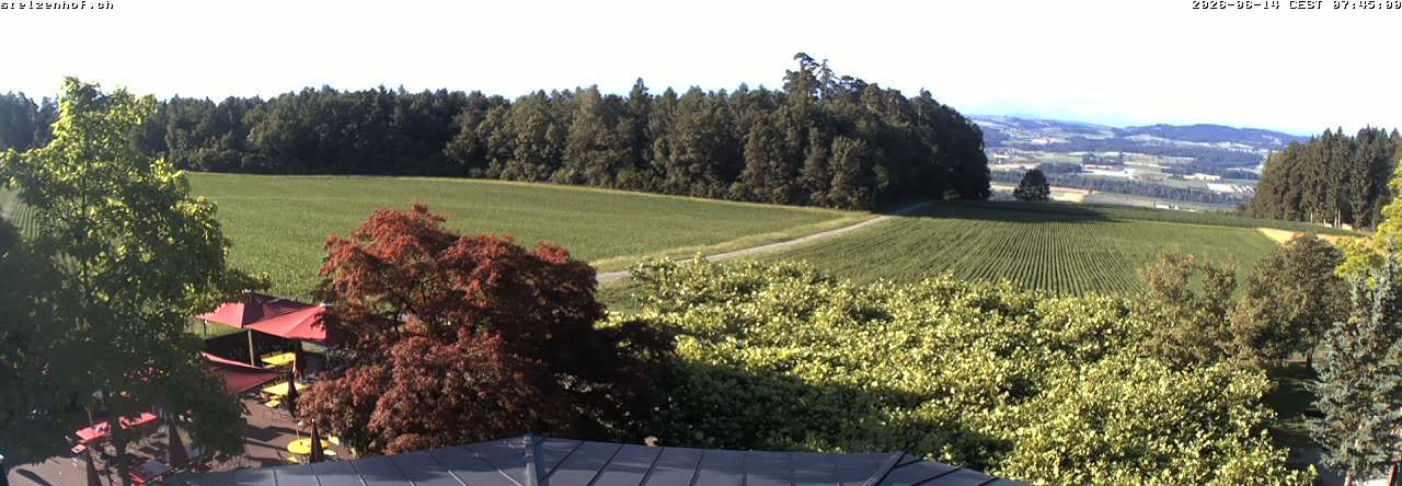 Weinfelden › Süden: Stelzenhof